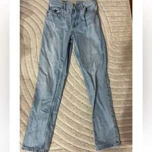 Everlane light blue 90s cheeky